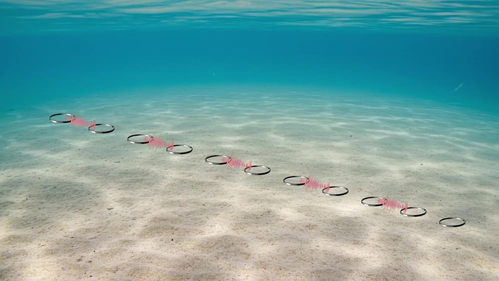 世界最長、4m間隔で11個のアンテナを海底に設置し、信号伝送に成功！